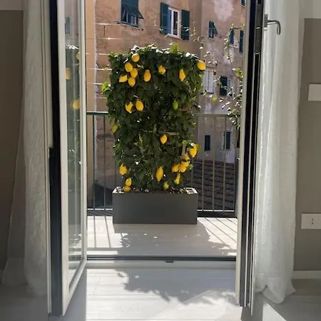 Luminoso, Appena Ristrutturato *